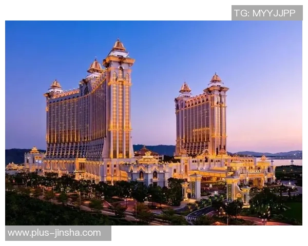 澳门新金沙娱乐城-澳门新金沙娱乐城，探索现代娱乐的全新面貌-澳门新金沙娱乐城