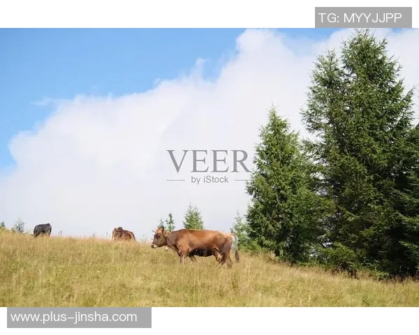 4166金沙娱乐下载-探索4166金沙娱乐下载的世界-4166金沙娱乐下载 4166金沙娱乐下载-探索4166金沙娱乐下载的世界-4166金沙娱乐下载